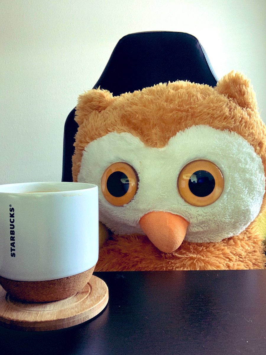 OWL 🦉 by myself during this Shelter-In-Place! Thinking of all my <a href="/NASPA6/">NASPA Region VI</a> educators. You all are so 🦉-some in continuing to do the important work to support our students and colleagues during this time!#NASPA 
#Covid_19 #FlattenTheCurveTogether