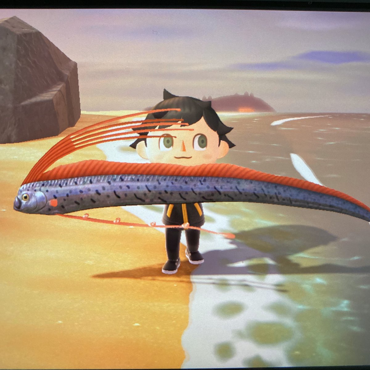 Lost3cho's tweet image. Hello! 
Looking to trade for some cherries 🍒 
My island has Pears🍐 Apples 🍎 peaches 🍑 and Coconut 🥥 
Or just visit for fun! 
Dodo code: CBDXG
#AnimalCrossingNewHorizons #dodocodes #animalcrossingdodocode #animalcrossing