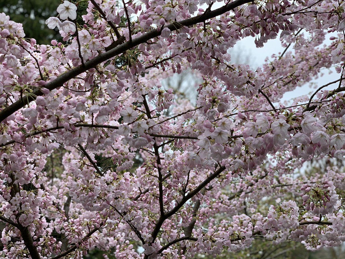 Sameer Bhangar tweet media