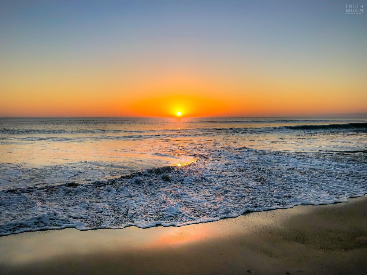 Trish Munn TV tweet media