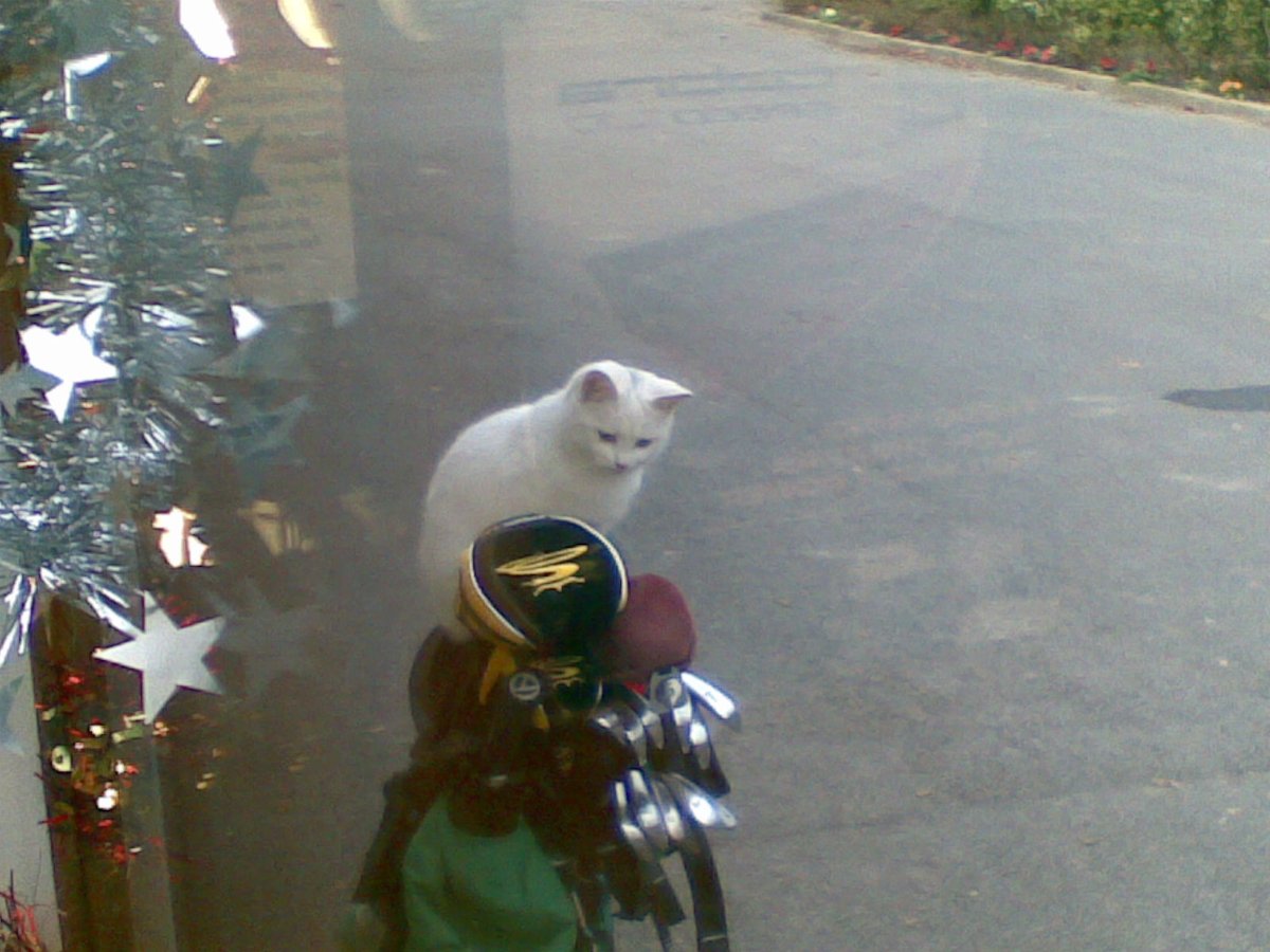 AnthonyJohnHand's tweet image. If you are a golf person please join the challenge of posting your fav golf photo. Just one picture, no description. Please copy the text in your status, post a picture and look at some great memories/pictures. 
Missing golf so very much! ⛳️🏌🏻‍♂️