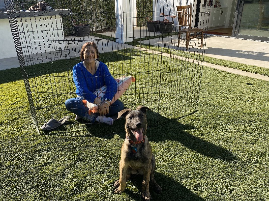 Preity G Zinta After 18 Days At Home Everything Feels Crazy But We Will Overcome Check Out Mom Trying To Explain To Bruno What Social Distancing Means Quarantine