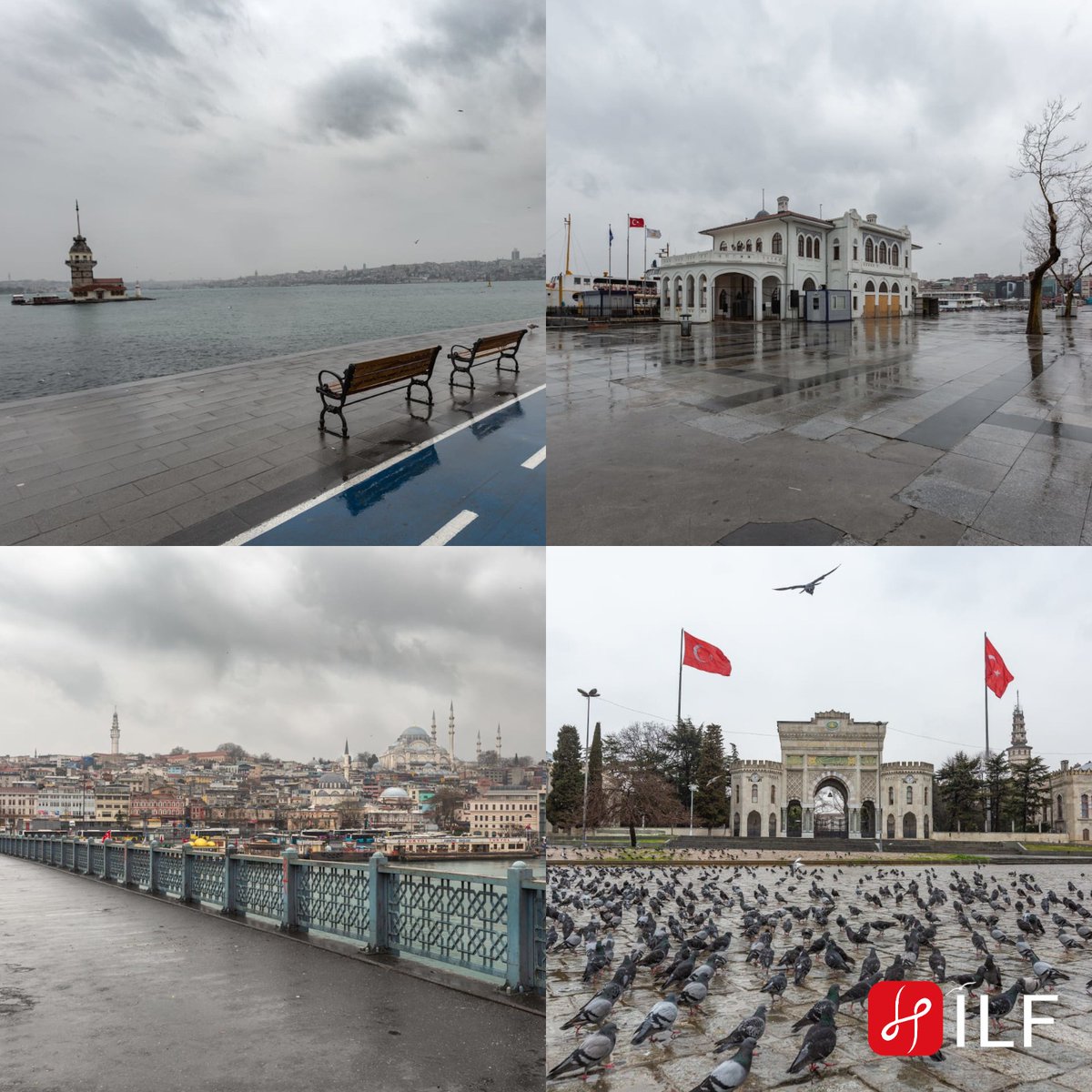 Öznur Sirene tweet media