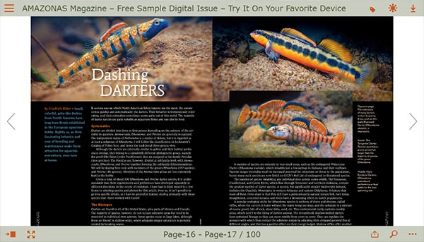 AmazonasMag's tweet photo. We've updated our #FREE #SAMPLEISSUE. Experience the fully mobile-friendly version, a "try before you buy" option for anyone considering a subscription to @AmazonasMag. All subscriptions include digital access to a growing range of digital back issues! https://t.co/8nO8rrh84G https://t.co/pacPJnLL2u