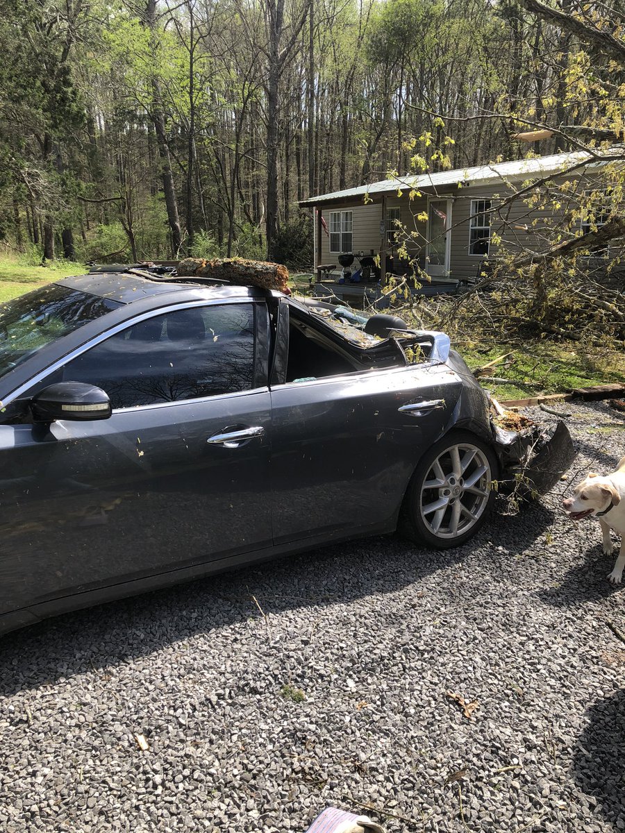 sted_11's tweet photo. @spann had some straight line winds in Cullman County last night. https://t.co/4BNl007244