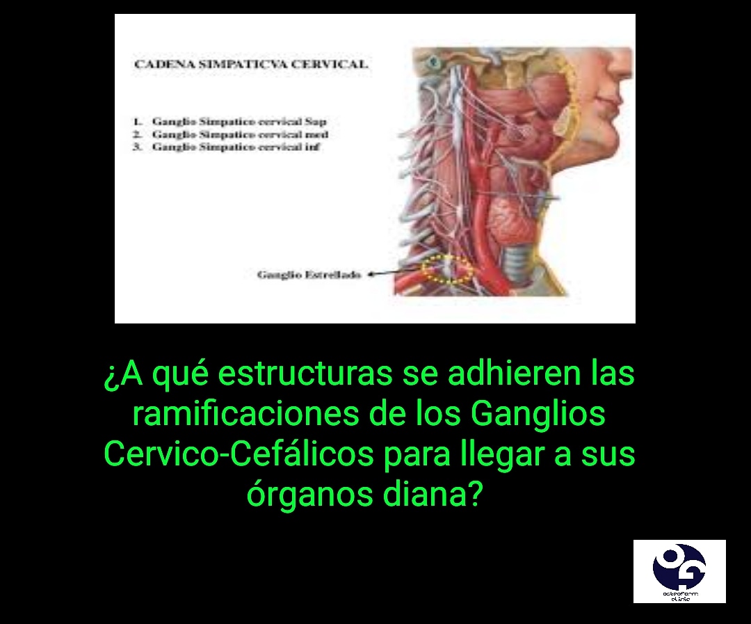 OsteoForm Clinic tweet media