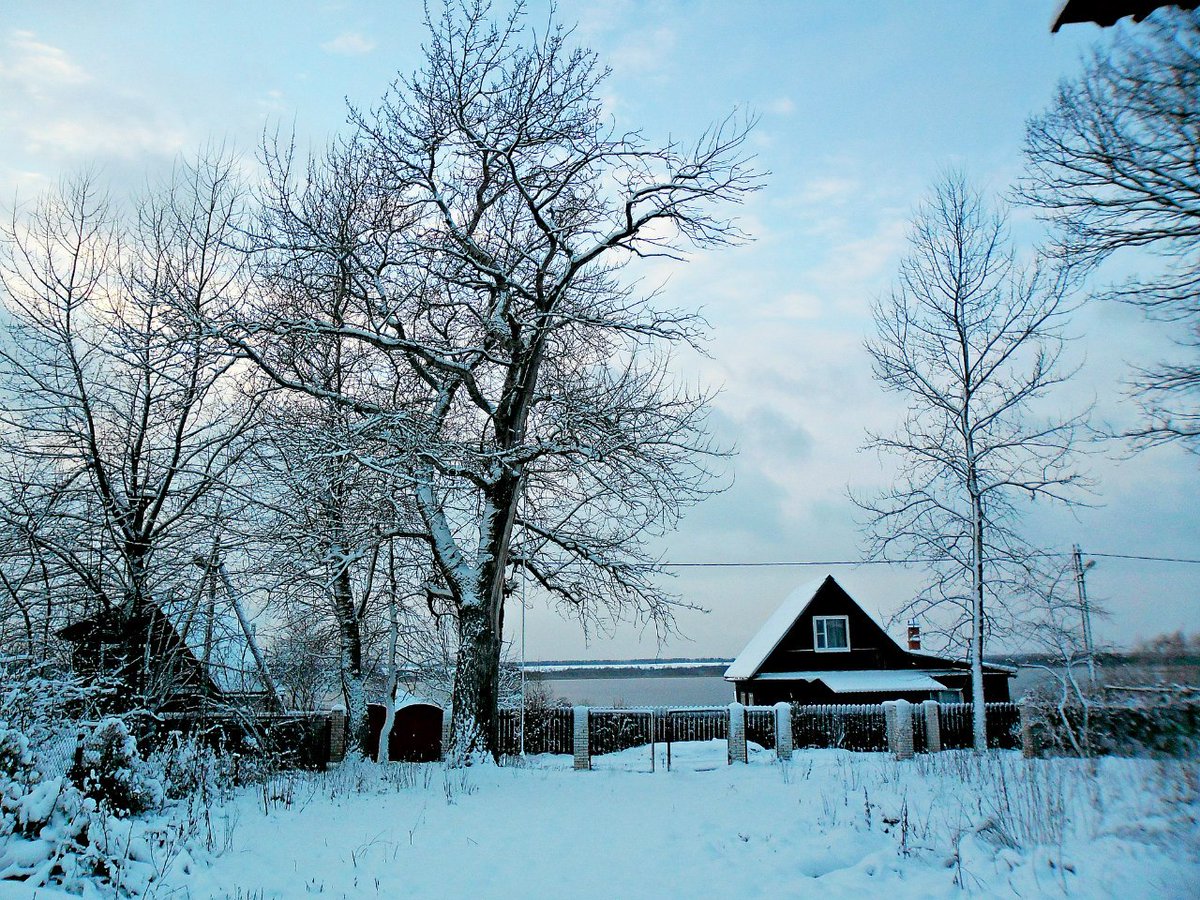 simonovkvramble's tweet photo. #Russia, #Leningrad Oblast, #Luga District, Village #Repy. View of the village / #Россия, #Ленинградская Область, #Лужский Район, Деревня #Репьи. Вид на деревню https://t.co/rPgt7N4s87