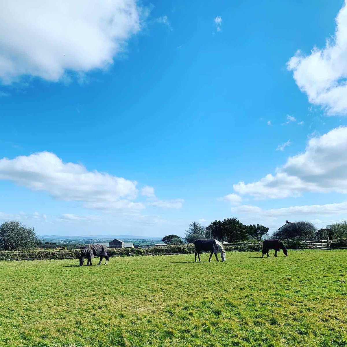 sergio_oli90's tweet photo. Enjoying some time off #holiday #cornwalluk #afternoonwalks https://t.co/XKmqV2DVDo