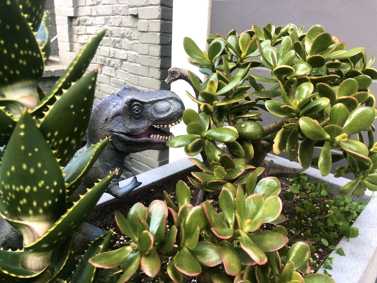 When children feel safe, they add playfulness to wherever they go.

The presence of children playing is a mark of a good neighborhood.