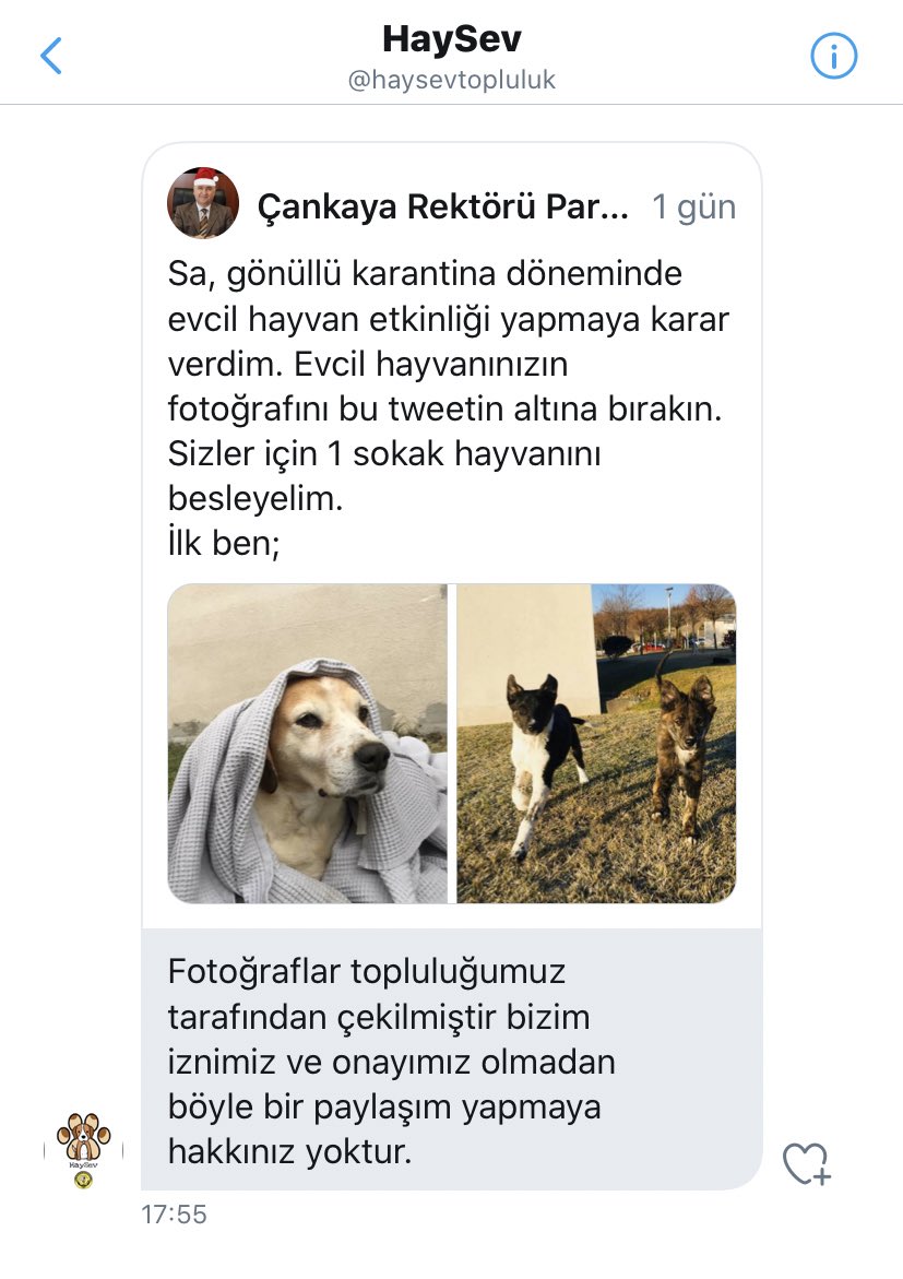 RektorParodi's tweet photo. Sevgili @haysevtopluluk 

1) O klubü açtığınız okul benim.
2) “Sokak hayvanı beslenecektir” dediğim bir projeye sizin gereksiz sayko bi mesaj atmanız üzücü.
3) Vizyon ve Misyonunuza okul açıldığında tekrar bakılacaktır.
4) 1.maddeyi tekrar okuyun. https://t.co/vQ8MFq3maj