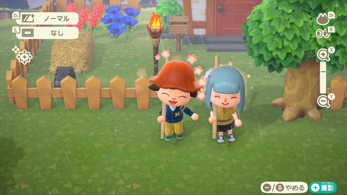 #どうぶつの森 #AnimalCrossing #ACNH #NintendoSwitch