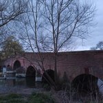 Photo by Sonning Bridge (@sonningbridge)