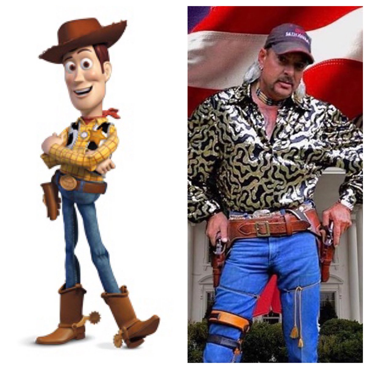 Hey, all you cool cats and kittens. Here’s some cat food for thought:  Joe Exotic is a rich mans Sheriff Woody #FreeJoeExotic