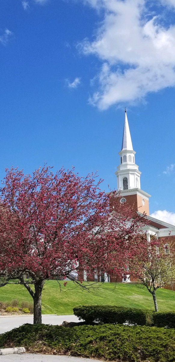 blfduniversity's tweet photo. Spring is officially here in Bluefield! 🌸 #SpringatBC #BluefieldCollege #KnowandBeKnown #RamsFamily https://t.co/J8kXzJjq8f