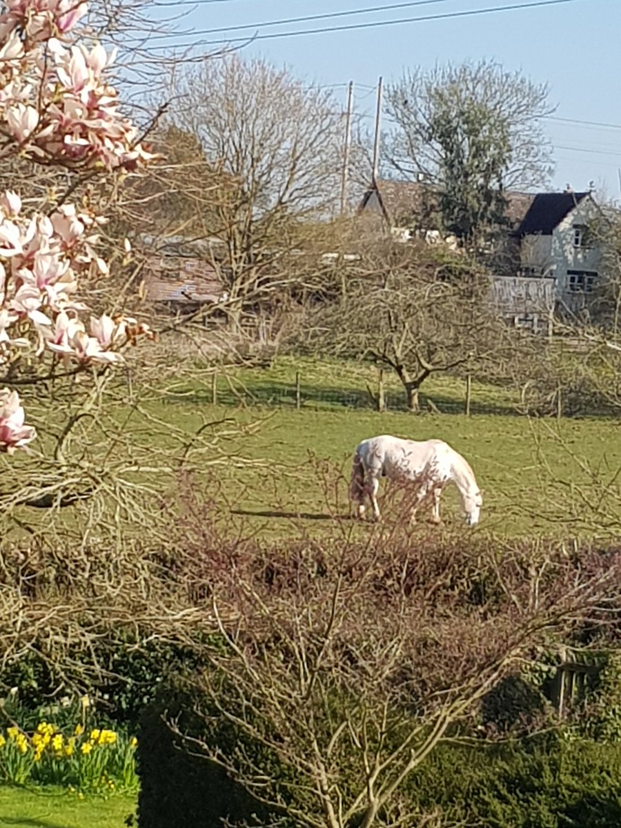 A Plush Flush tweet media