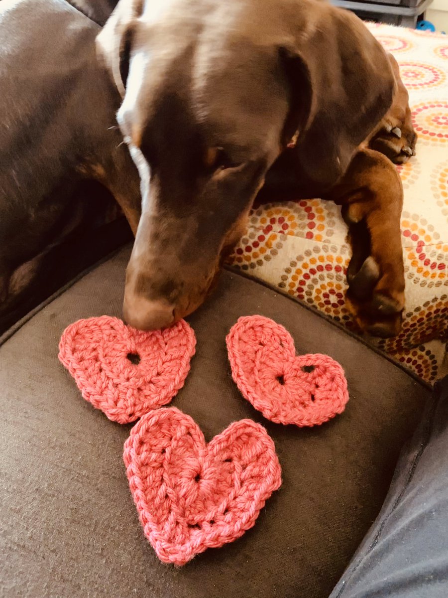 amjacorn's tweet photo. Choose kindness - hearts in a tree and my heart on a leash 🥰 https://t.co/HhWFtJYFV4