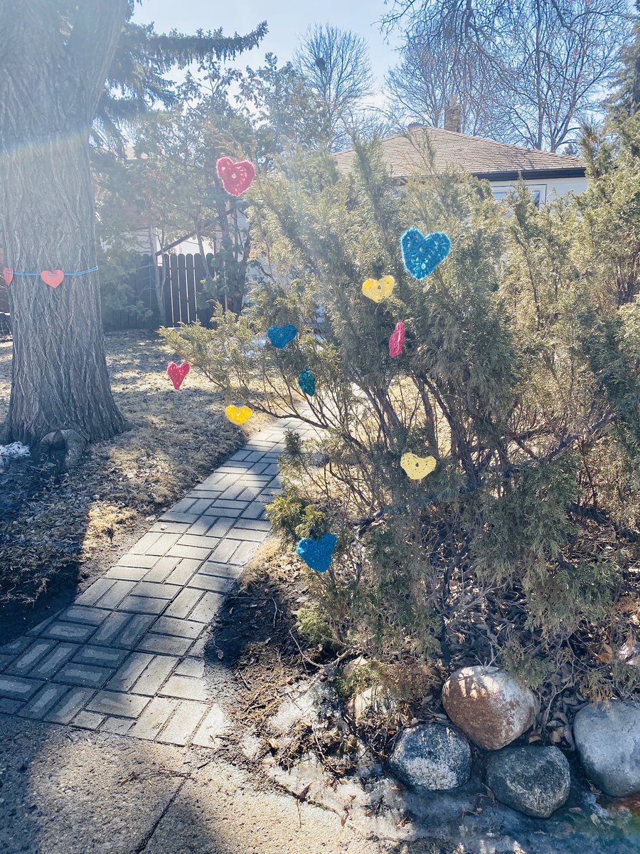 amjacorn's tweet photo. Choose kindness - hearts in a tree and my heart on a leash 🥰 https://t.co/HhWFtJYFV4