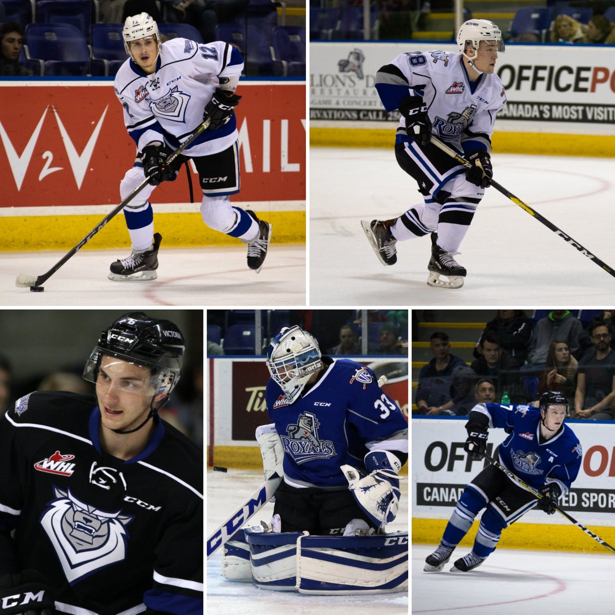 Congrats and all the best to former Royals <a href="/Jerome__15/">D-Jay Jerome</a>, <a href="/kustra_99/">Jake Kustra</a>, <a href="/jeremy_masella/">Jeremy Masella</a>, <a href="/Dylanmyskiw/">Dylan Myskiw</a> &amp; <a href="/ScottWalford7/">Scott Walford</a> who concluded their <a href="/CHLHockey/">Canadian Hockey League</a> careers this season! #AlwaysARoyal