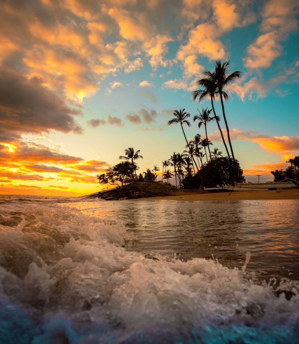 feeling_sunset's tweet photo. https://t.co/ub5LADy1no