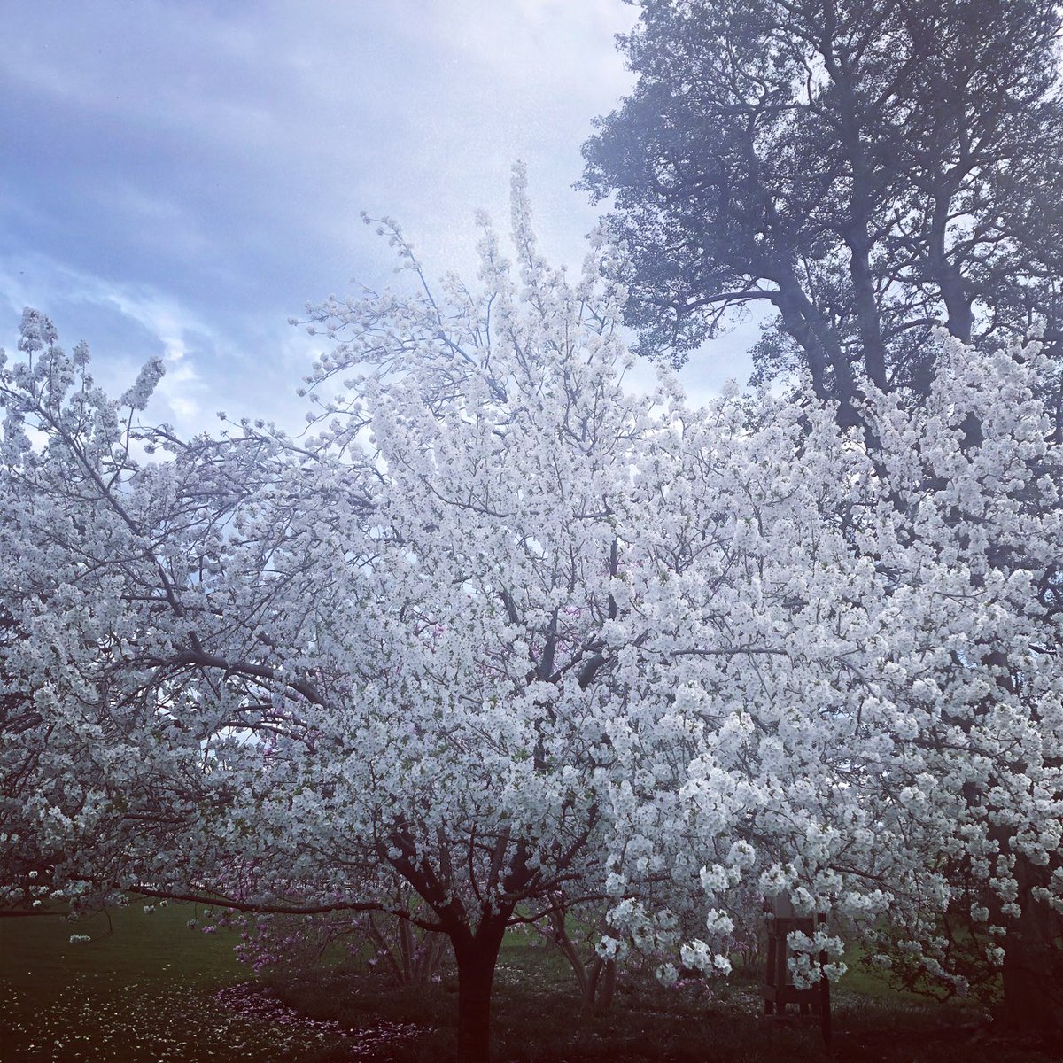 FLOTUS45's tweet photo. If you are able, try to take a few moments to get outside &amp; breathe in some fresh air. Enjoy spring &amp; beautiful nature! We all need to take care of ourselves so that we can try to help take care of others. https://t.co/NoTY7LdAPX