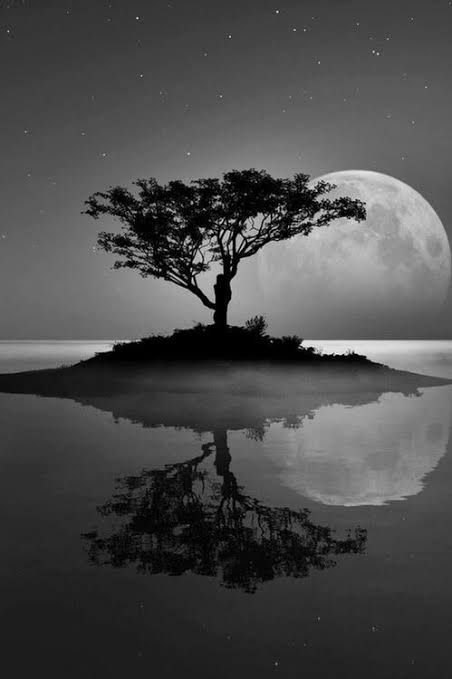Salik07X's tweet photo. .
.
.
..⚘Stay Connected🎉 @salik07x🎉
👉follow @salik07x👈
🎉turn On Post Notification
@salik07x 🎉 
_
_
  #salik07x #kashmirvalley  #kashmirlife #instagram #DarkToLight #darklife #darknature #photograph #travels  #PicOfTheDay https://t.co/UycsUGhgsy