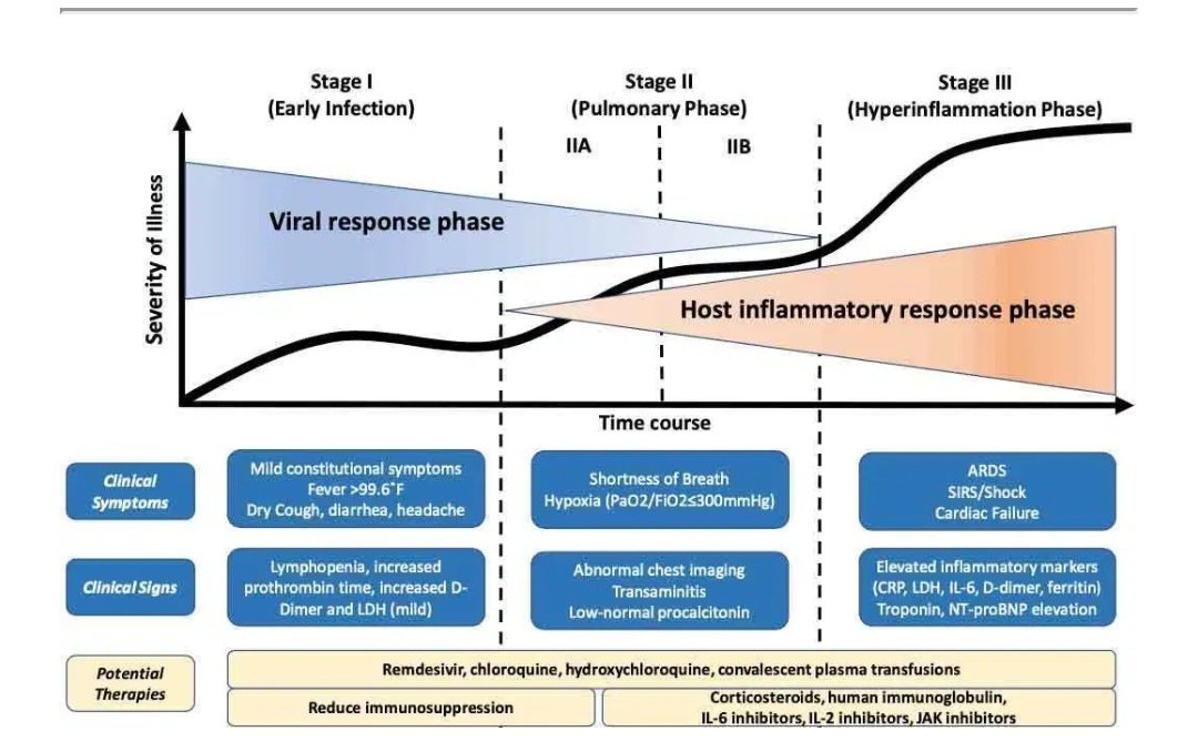 #COVID19
En la evolución de estos pacientes se describen 2 factores que influyen en la severidad del cuadro: 1) el virus per se y 2) la respuesta inmune/inflamatoria del hospedero
Y a partir de esta interacción se observan 3 fases (no todos los paciente las presentan todas)