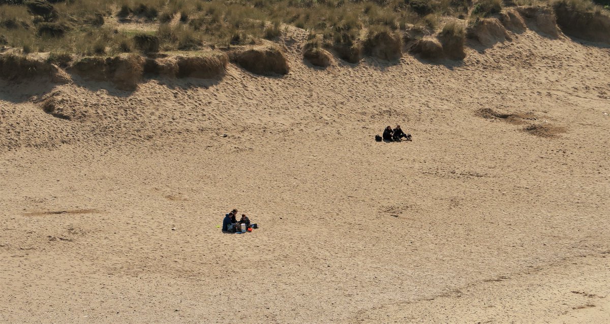 John Jobson tweet media