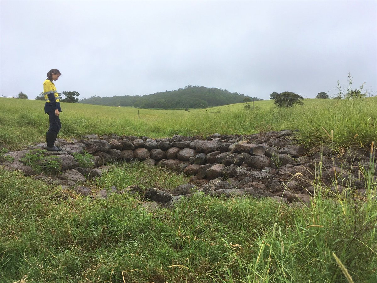 terrainNRM's tweet photo. We're rapt to see that Zuni bowls, constructed 10 months ago, are stopping #erosion on this #WetTropics farm. They stop sediment from flowing to the #GreatBarrierReef too. 
More: https://t.co/uf408aq5GG  @LandQueensland @DrAnthonyLynham #Zunibowl @gbrmarinepark @GBRFoundation https://t.co/ZEx2VVzTaG