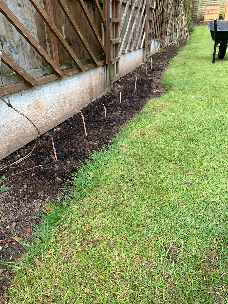 _LONDONSTONEsw's tweet photo. After a lot of work we finally have potatoes and onions planted.  Carrots and parsnips going in next. Been mulching the beds today with a mix of horse manure and my very own compost. Not digging it in, just laying on top to let nature break it down and feed the soil. #AnHourADay https://t.co/t63WOiEruF
