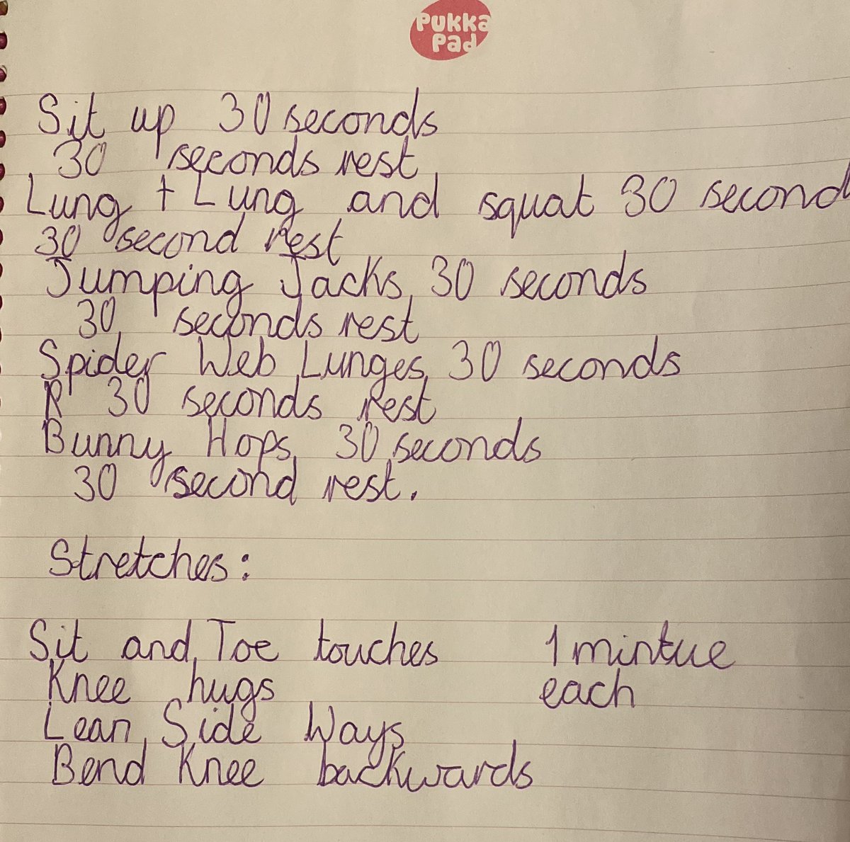 BalHorvath's tweet photo. @thebodycoach My girls got hooked on day 1 and are looking forward to your session every morning since. Hanna &amp; Sophie asked me to post their routine in the hope they can exercise the nation. 😉  #PEwithJoe https://t.co/3lbd5Frmxa