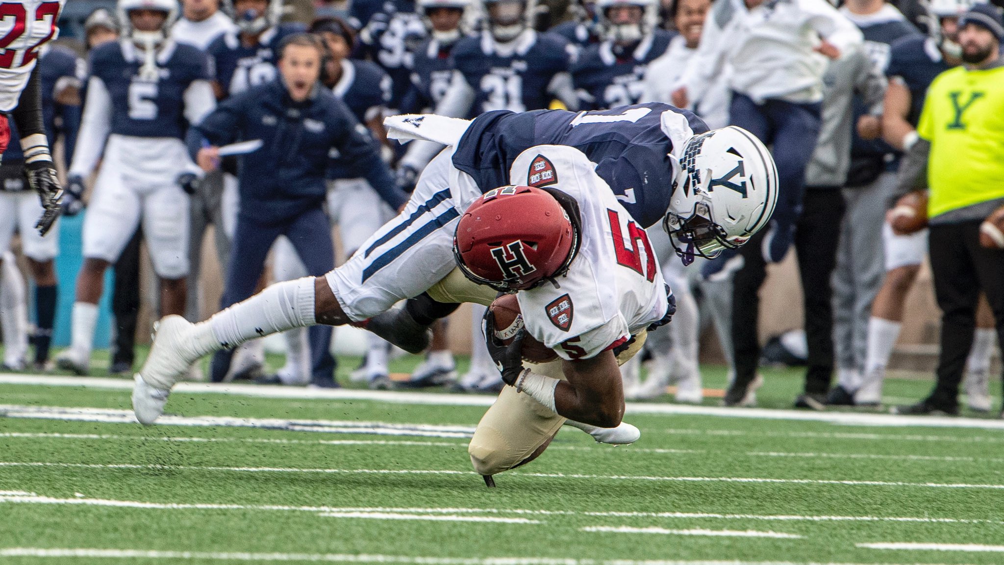 Yale Football on Twitter: "😤 #ThisIsYale https://t.co/1YgBS2WH46" / Twitter