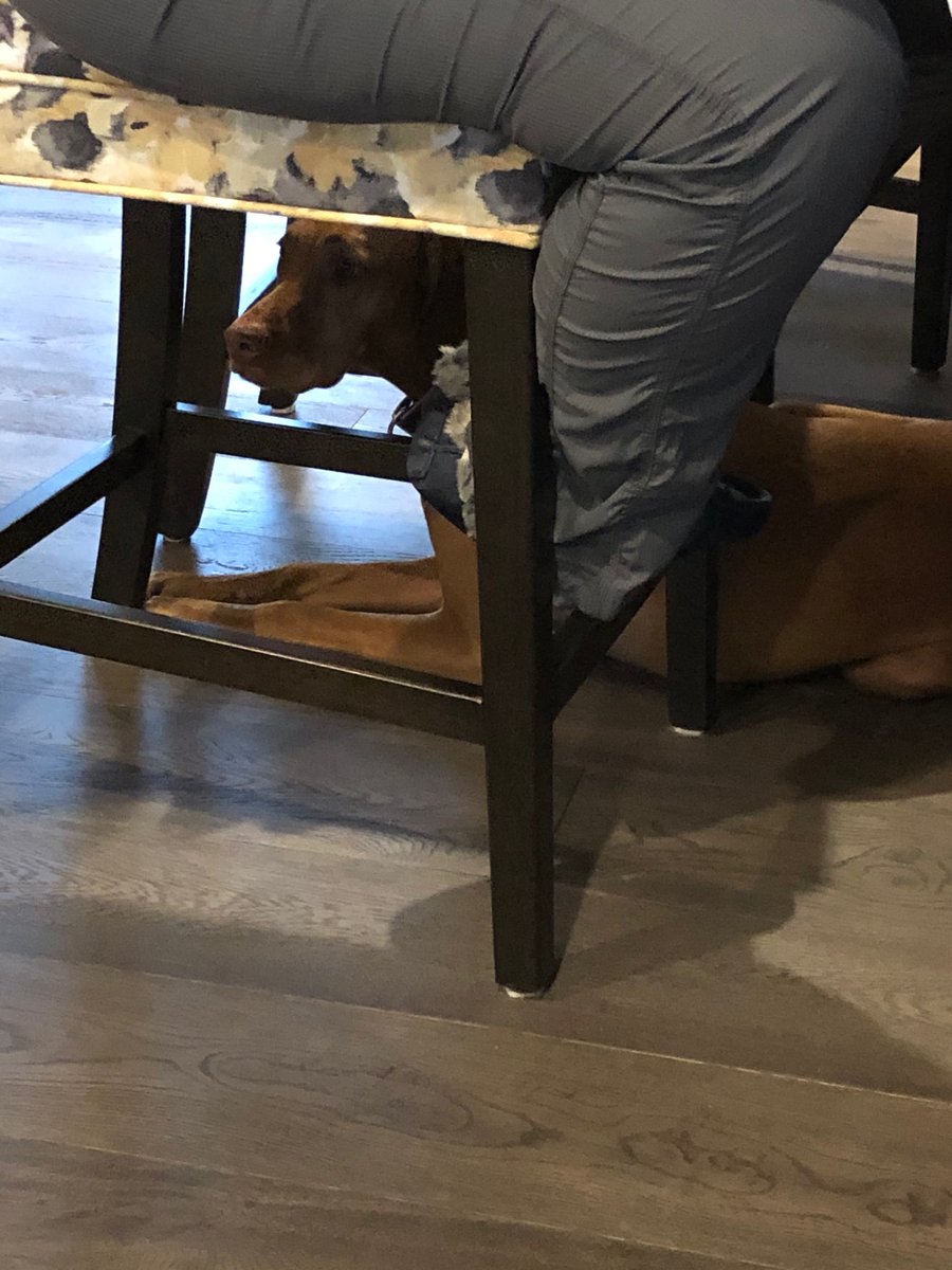 Jessica12913's tweet image. #scaredofThunder