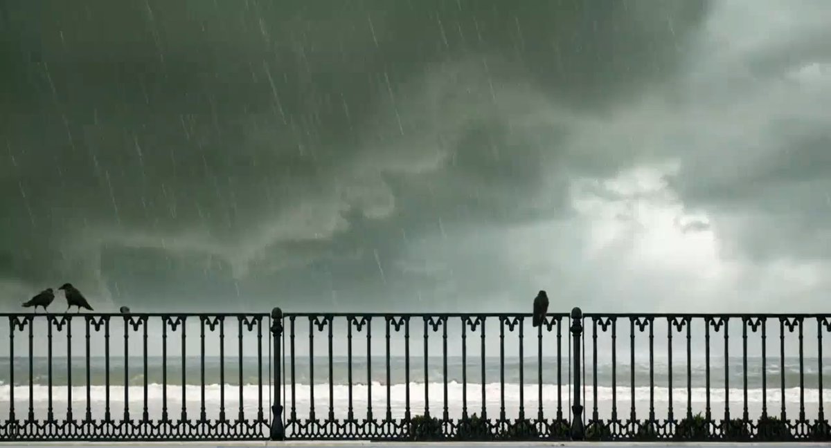 Аббаса киаростам 24 frames. 24 frames. 24 frames ( 2017 ). Tim play. 24 frames.