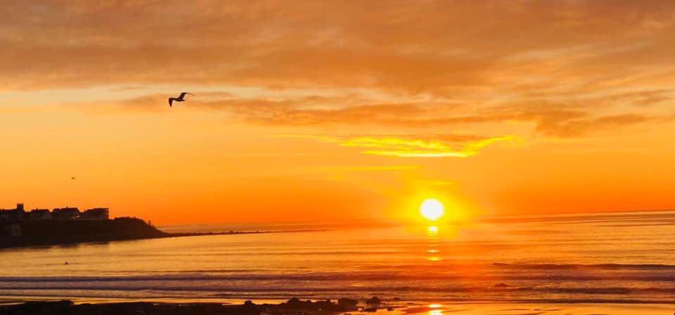  Happy Birthday from Hampton Beach NH USA.  I so enjoyed your performance in Star Trek Picard!!!! 