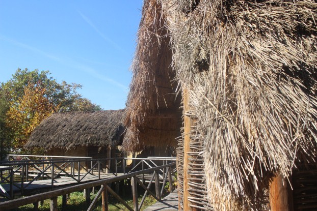 AgroEkoo's tweet photo. Beginning of rehabilitation of the Neolithic Soyen settlement in Tuzla....
https://t.co/i1GBTInf30
#neolith #soyen #historical #tourisam #Tuzla #Bosnia #Balkany #Tourismus #Bosnien #piledwelling #neolithisch https://t.co/RaG3G9h5C3