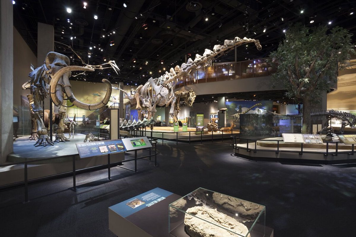 TamraDollar's tweet photo. #MuseumFromHome @_MIBACT Join the #digitalflashmob by posting photos of your favorite Museums w/ #artyouready #emptymuseum Museums are closed but alive! #CulturalDiplomacy @PerotMuseum 🇺🇸 https://t.co/quWKtsyOWr