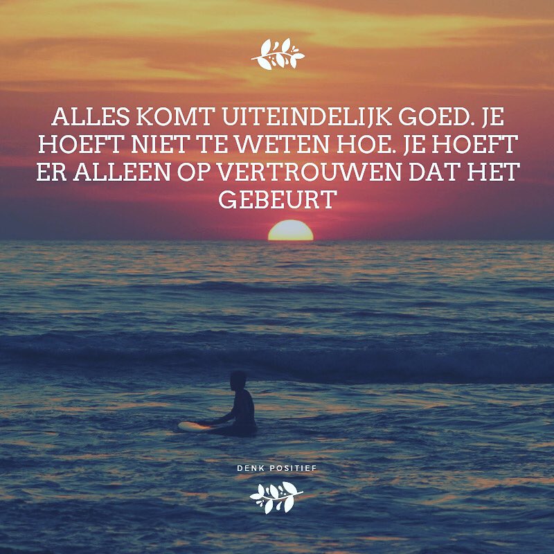 MarkoVoer's tweet photo. Wat een fantastisch artikel @IntoBits. Je lijkt totaal niet geïnformeerd en zoals vaker zoekt @telegraaf ook nu sensatie ipv rust. #nunspeet https://t.co/FDa22nwrpo