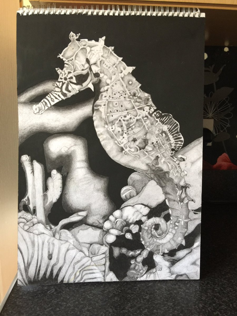 BekNicholson's tweet photo. Finally finished my #seahorse found my favourite medium to work with #graphiteart #graphite #Pencildrawing #ocean #oceanlife #oceanart https://t.co/WpTK6Qzxt6