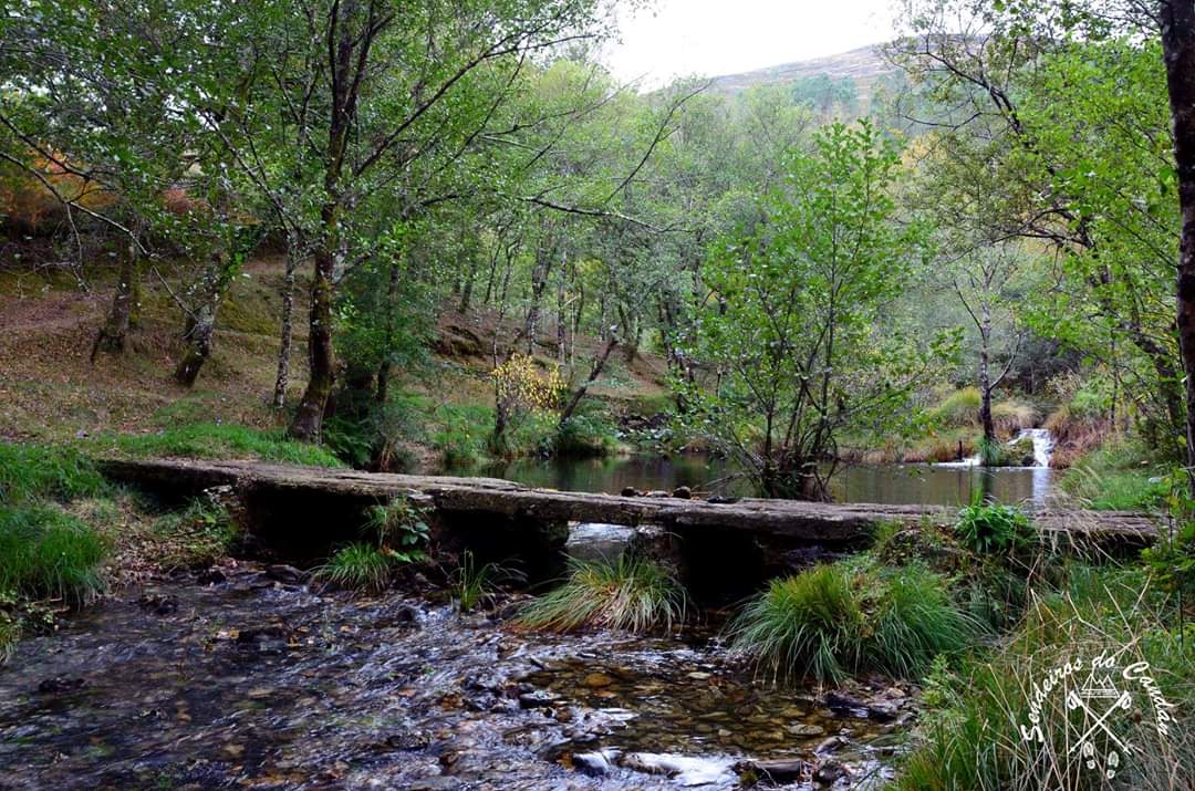 flopezcu's tweet photo. Na chapacuña de Ramiro hai unha ponte que une moito máis que as dúas beiras do río.
#SerradoCandan #rios #pontes #natureza #zobra #Lalín #sendeirosdocandan https://t.co/E4wSmZ8GOy