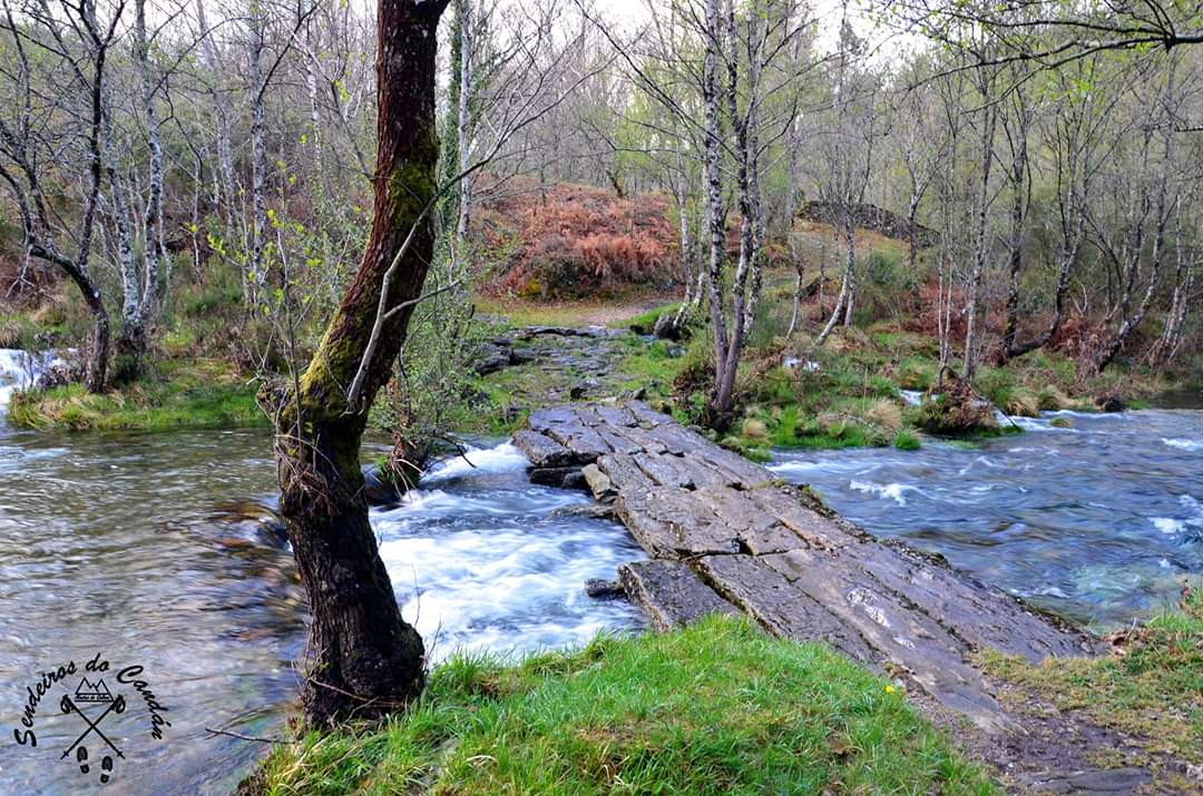 flopezcu's tweet photo. Na chapacuña de Ramiro hai unha ponte que une moito máis que as dúas beiras do río.
#SerradoCandan #rios #pontes #natureza #zobra #Lalín #sendeirosdocandan https://t.co/E4wSmZ8GOy