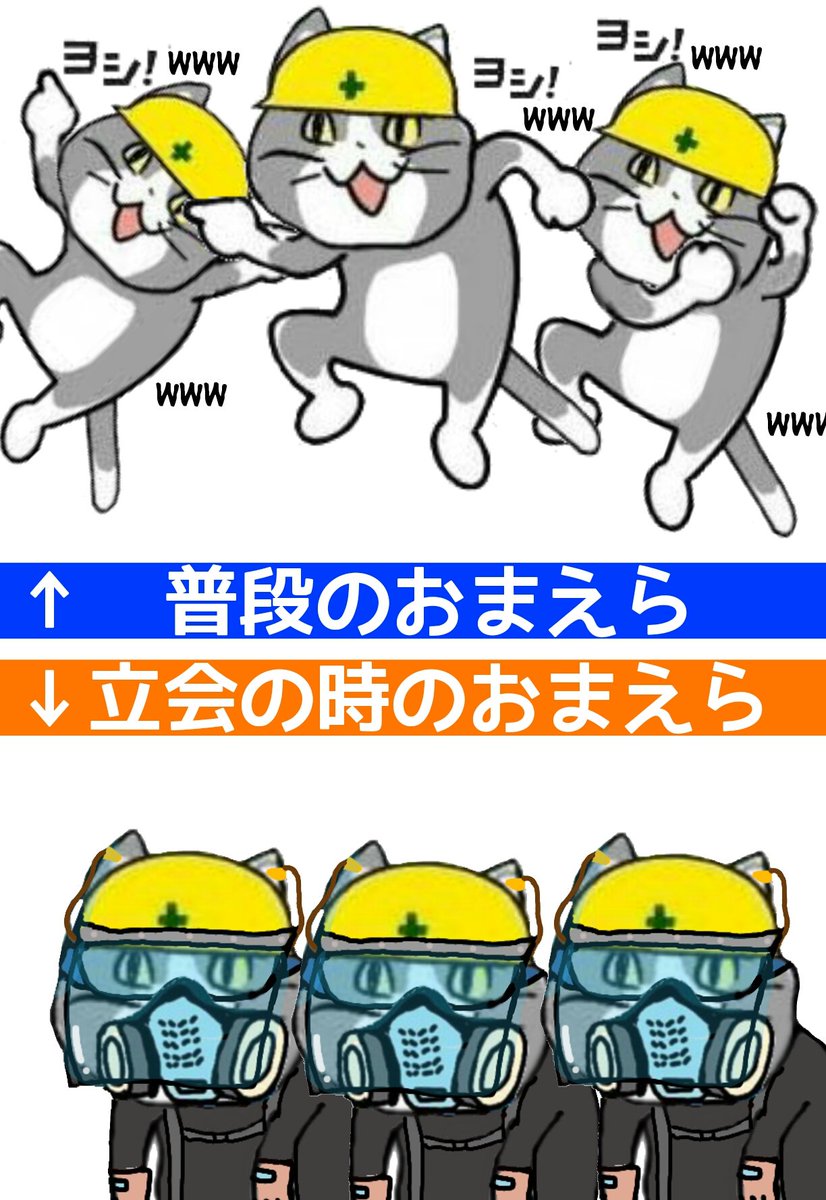限定 正規 ヨシっ! 現場監督猫さん専用!! kikuchi-farm.com