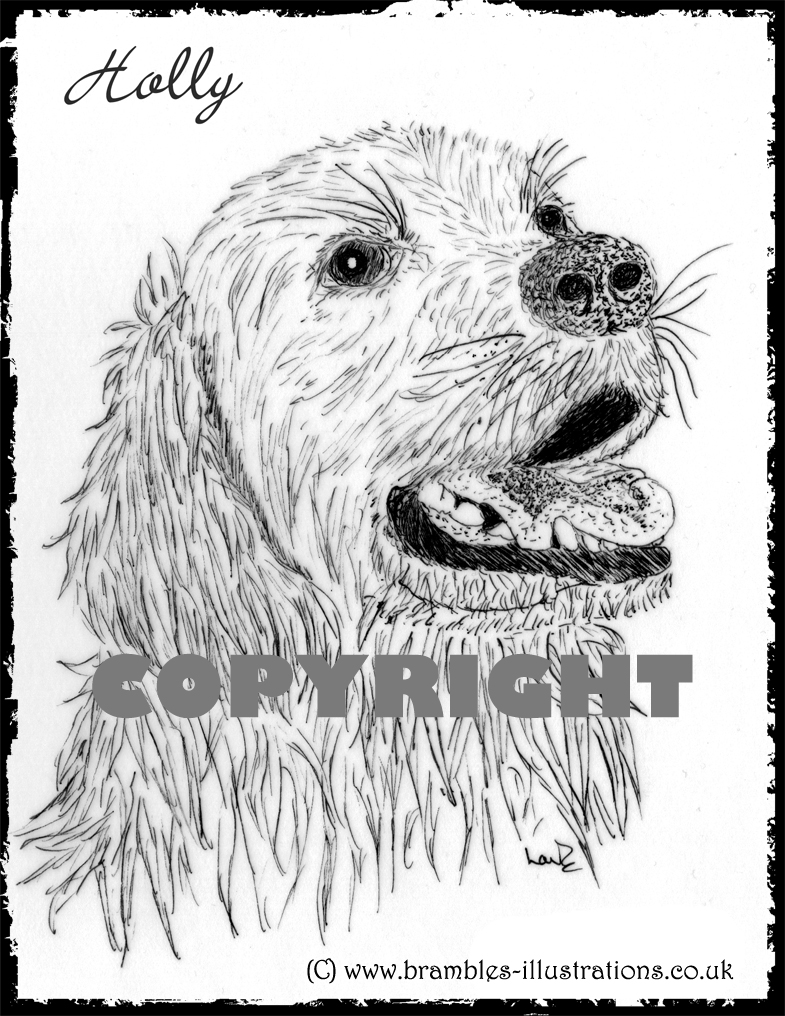 LauraBrambles's tweet image. As we are not able to shop for presents and gifts, do something unique instead.
I can create a bespoke drawing as a gift for a loved one. This can be a cartoon, a sketch, of something special to them.
This can be emailed or posted.
Contact me to discuss your ideas. 😀