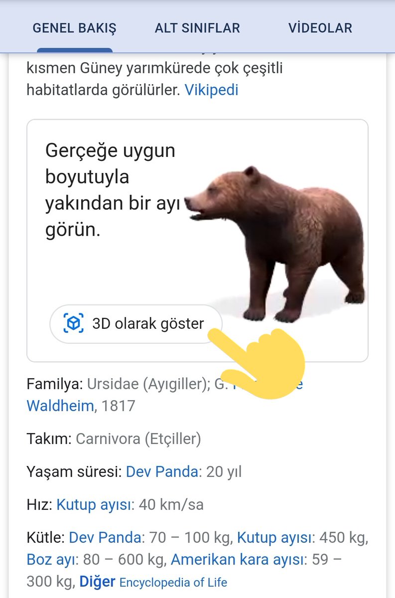 Hava Forum On Twitter Cep Telefonunuzdan Google A Girip Aslan Ayi Balik Kopek Ordek Panda Penguen Keci Ahtapot Yilan Kaplumbaga Kurt Ve Benzeri Hayvanlari Yazip View In 3d 3d Goruntule Yi Tiklayinca O Hayvan