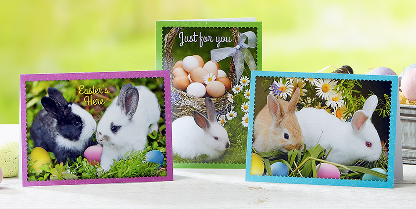Easter is a springtime holiday with lots of age-old traditions attached. 🐰 But how did the Easter Bunny, chocolate candy, baby chicks, and colorful dyed eggs become such a large part of the Easter celebration? 

Find out here: bit.ly/3dJ79zY