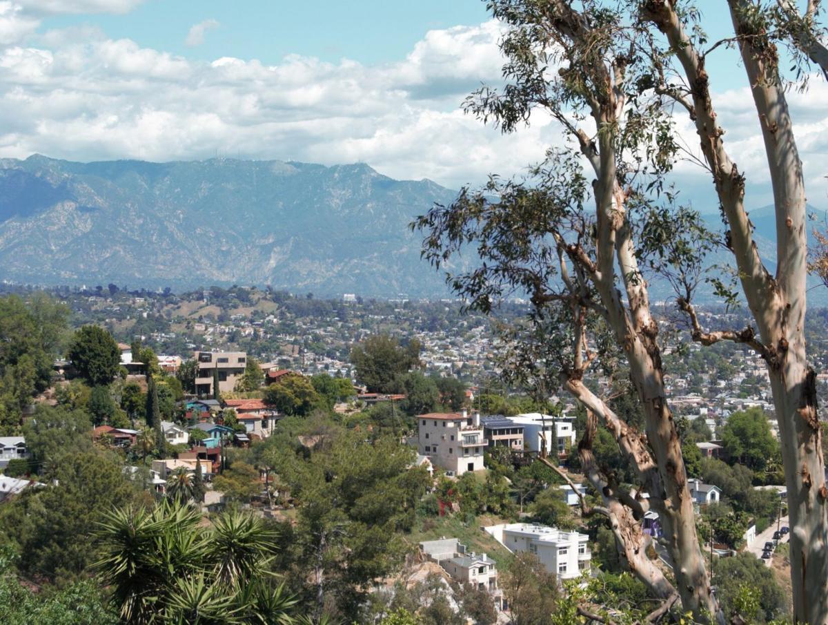 TheEastsiderLA's tweet photo. Here are some photos from our readers of the views and vistas that have provided a welcome distraction from the pandemic and all its problems. #LASkies #BoyleHeights #EagleRock #GlassellPark #HighlandPark #MountWashingtonLA #SilverLake https://t.co/pyPOa9wfbQ https://t.co/Znl0vJE3ms