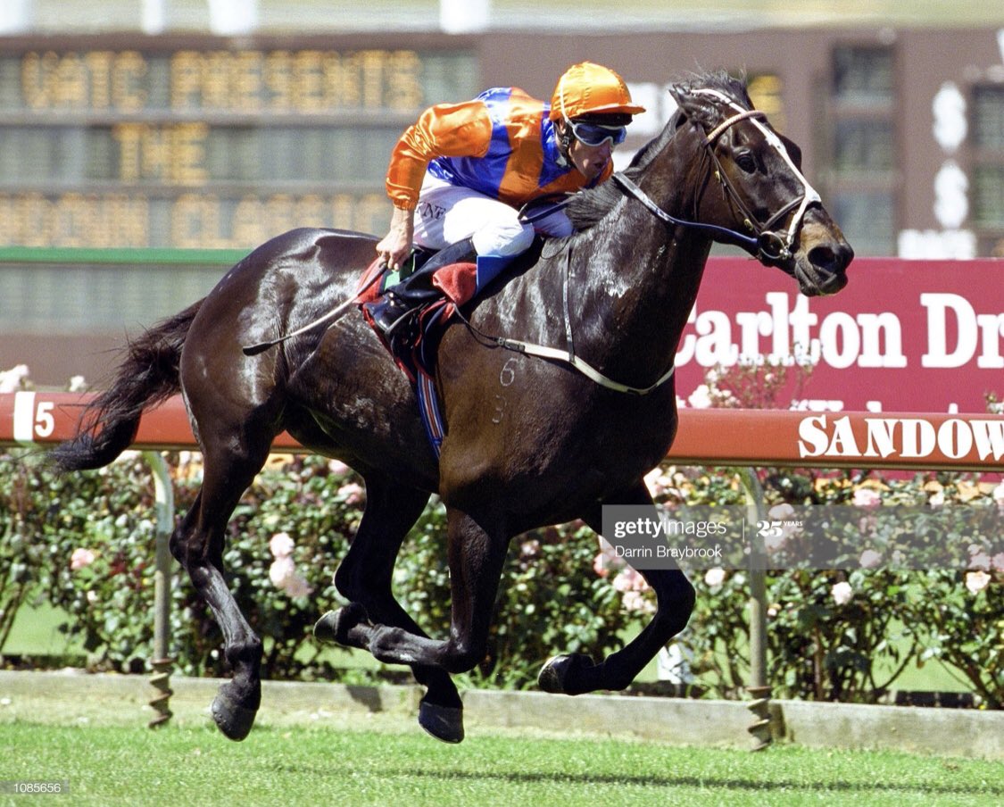 Nic Ashman tweet media