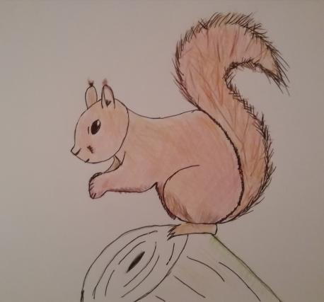 NicolaLK96's tweet photo. A bit late to the party, but i got bored & decided to #DrawMyDaemon- a red squirrel called Argyll https://t.co/6xjwWhocnL