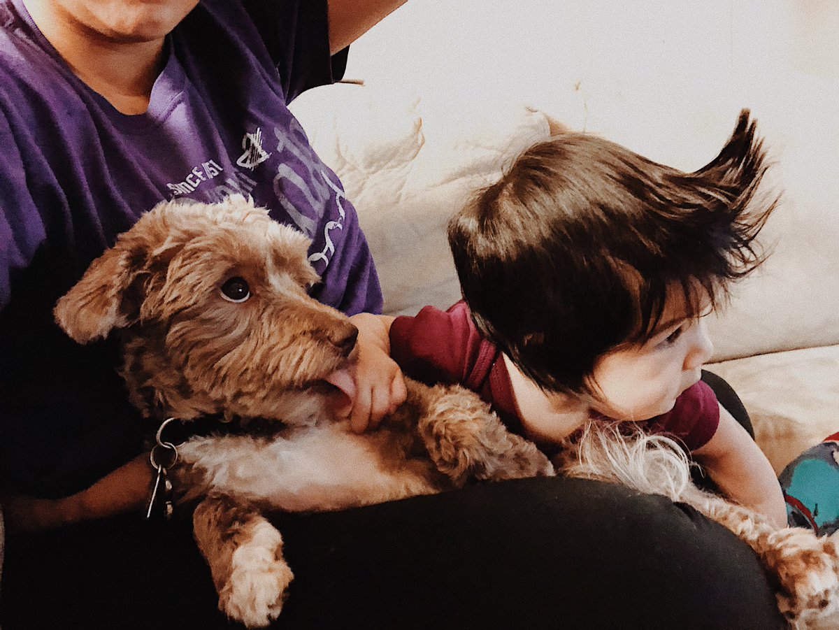 lillyogo99's tweet photo. Brother and sister cuddles ❣️💋🐶👧🏽 https://t.co/U4rvuTqul7