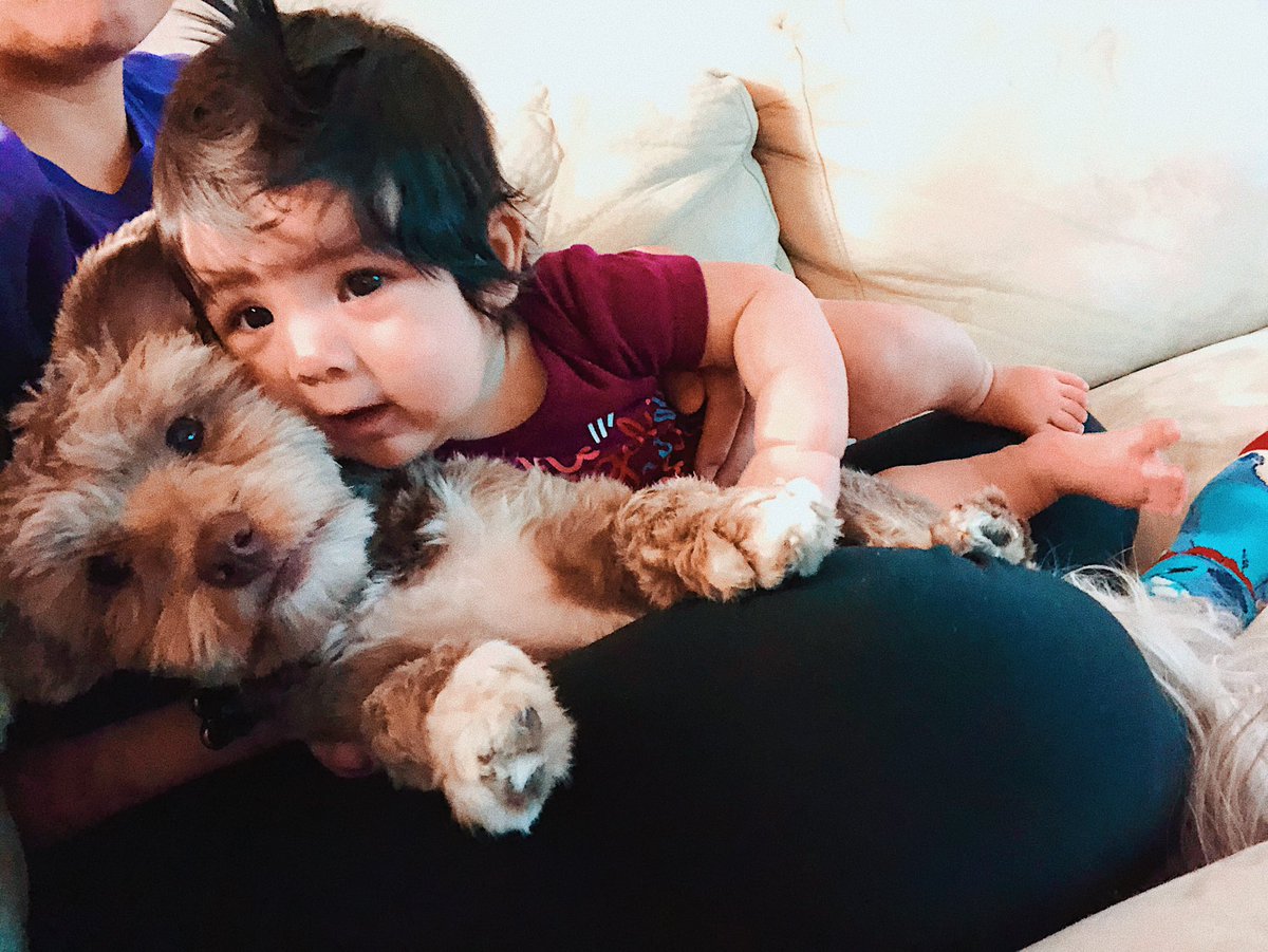 lillyogo99's tweet photo. Brother and sister cuddles ❣️💋🐶👧🏽 https://t.co/U4rvuTqul7