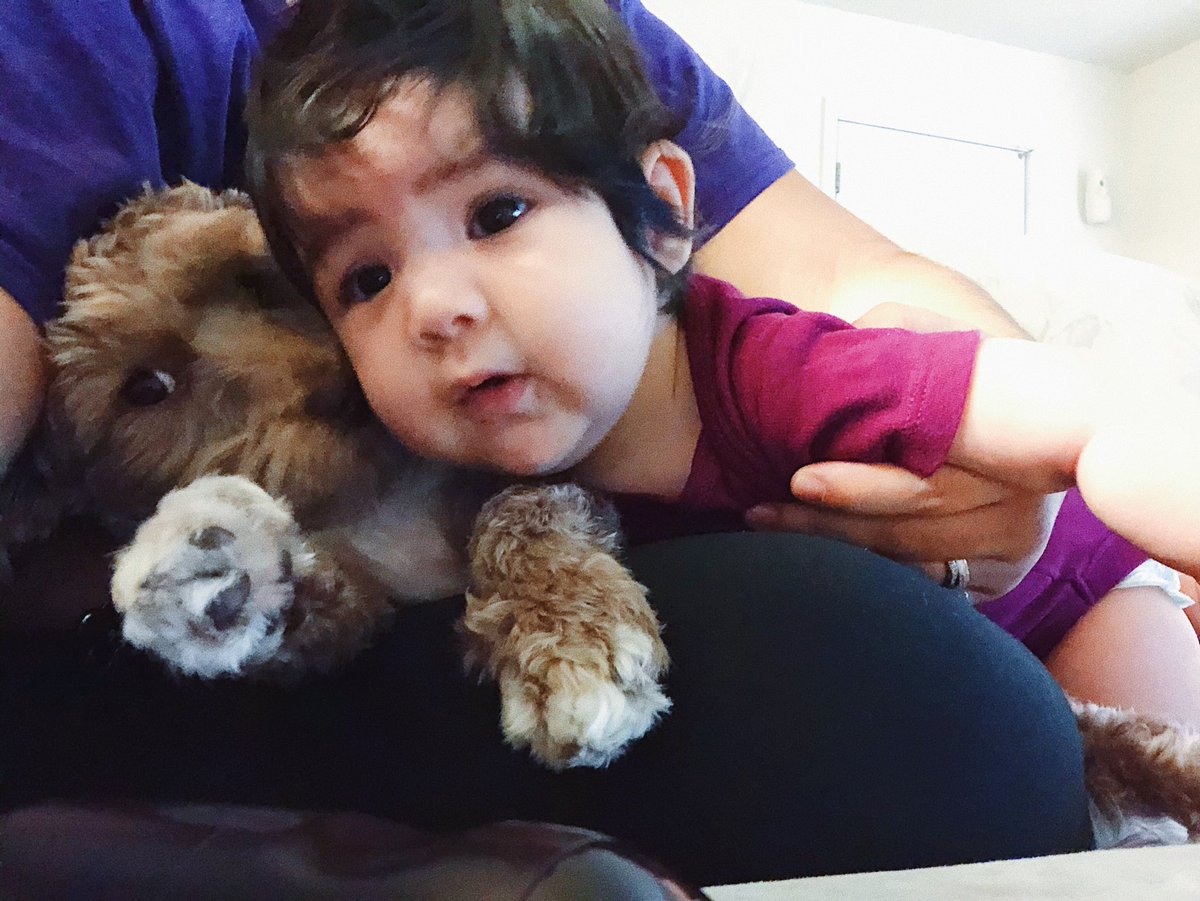 lillyogo99's tweet photo. Brother and sister cuddles ❣️💋🐶👧🏽 https://t.co/U4rvuTqul7